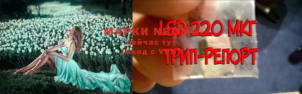 бошки Аркадак