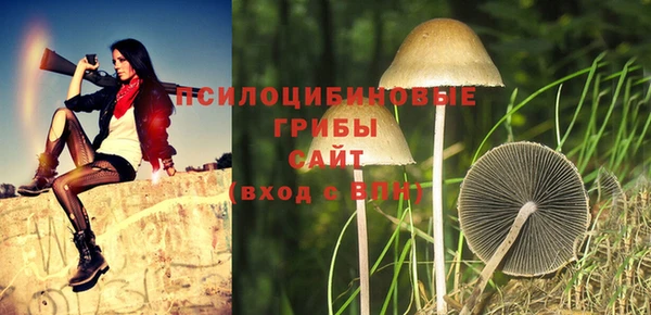 бошки Переславль-Залесский