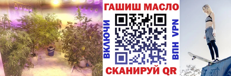 omg как зайти  Велиж  ТГК жижа  купить закладку 