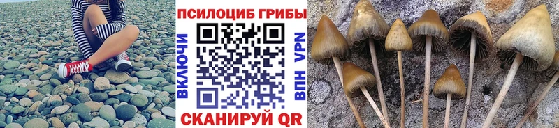 хочу   Велиж  Галлюциногенные грибы мухоморы 